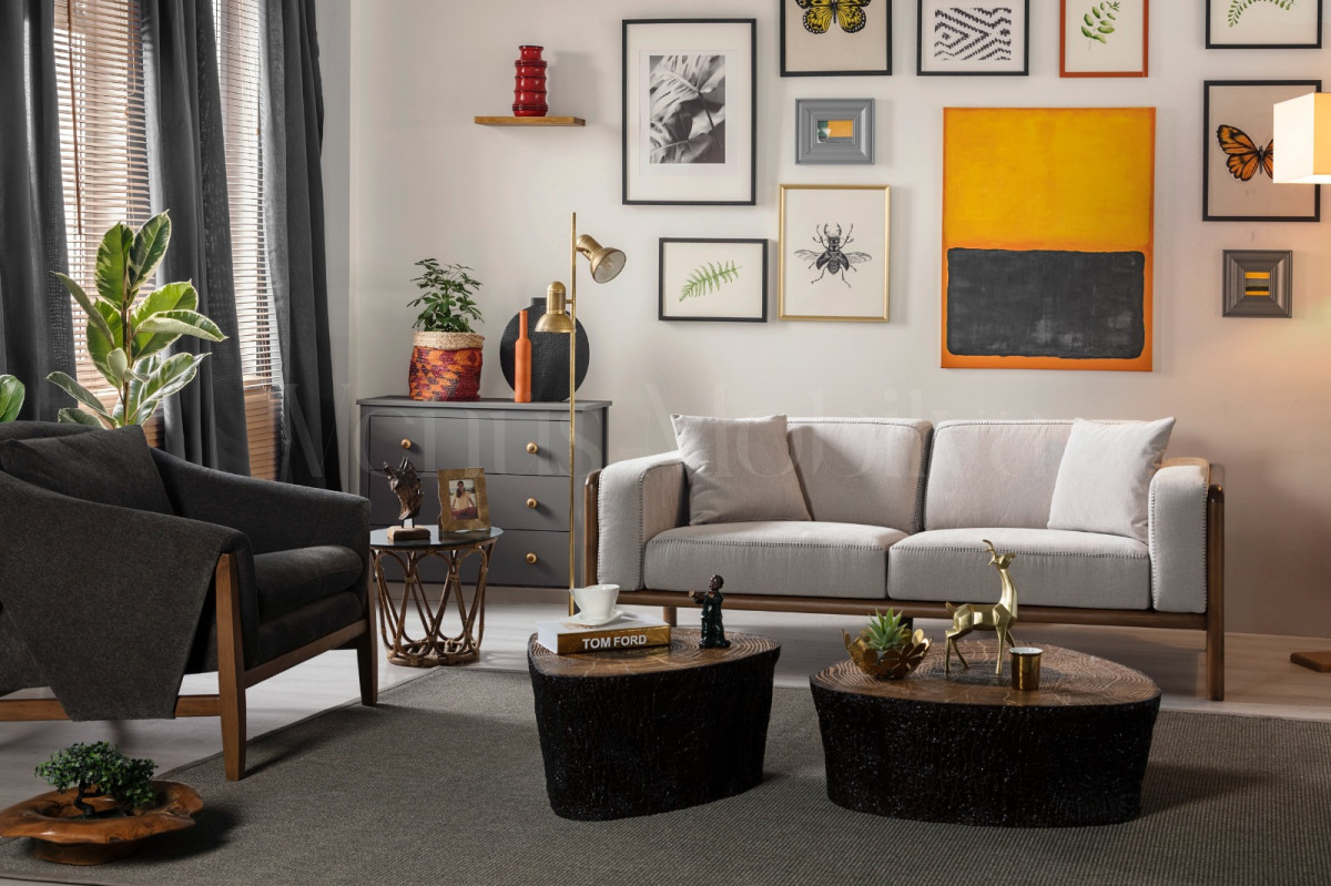 DİANA KOLTUK TAKIMI